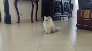 Побег от Чика.ЕХЕ(Некиса и Вася VS Чика.ЕХЕ и дух Блиппи)