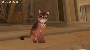 Genshin Impact #291  Исследование руин: Верный путь II