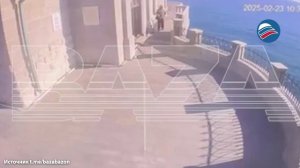 Стала известна судьба кошки, выжившей после падения с площадки возле «Ласточкиного гнезда»