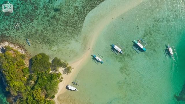 Summer Vibes смотреть онлайн