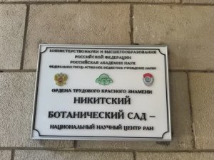 Архив. Крым. Никитинский сад