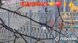 1000014098.mp4🖋️🚀  ДЕНЬ СО МНОЙ 💃☕МОИ БУДНИ 🖋️🚀