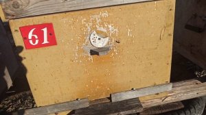 21 ноября - 2 часть .