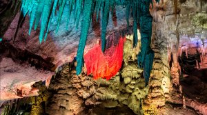 Прогулка по Национальному парку и Воронцовским пещерам в Сочи.
