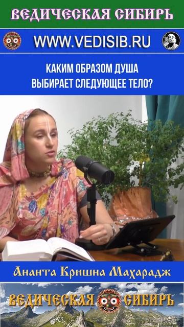 Как Душа выбирает следующее тело?