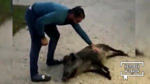 Видео недели. На Камчатке. Человек и закон. Фрагмент выпуска от 21.11.2025