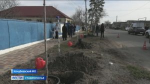 Ставрополье становится зеленее с каждым годом