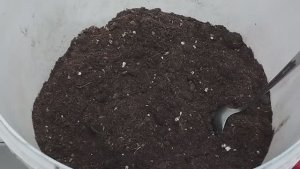 Подготовка почвы для посева семян томатов и посев семян