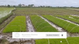 Иран 🇮🇷 проблемы воды.mp4