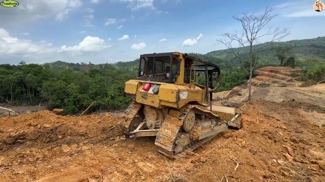 Строительство, расчистка новой территории