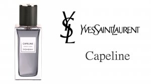 Обзор Аромата - Yves Saint Laurent Capeline