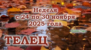 ТЕЛЕЦ | ТАРО прогноз на неделю с 24 по 30 ноября 2025 года
