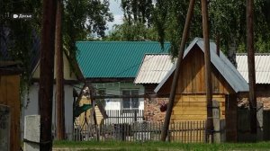 День с Толком 21.11.2025