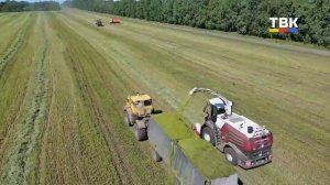 «Урожай – 2025. Выращено в Искитимском районе»