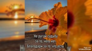 "Единому Премудрому Богу, 
Спасителю нашему через Иисуса Христа Господа нашего, 
СЛАВА и ВЕЛИЧИЕ..."