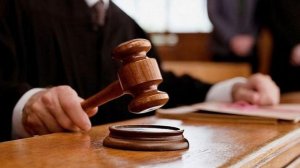 Жительница Ростовской области осуждена на 12 лет за госизмену