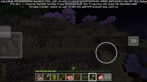 первые шаги к полному прохождению minecraft
