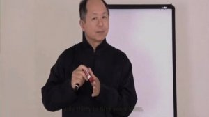 Боевой Цигун 04. Теория Нэйгун  Ян Цзюньмин