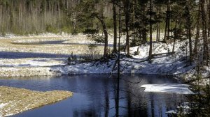 Особый праздник 22 ноября — Матрена Зимняя: история, традиции, приметы