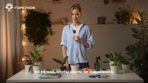 Спасение кодиеума - инструкция