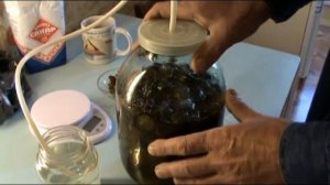 КАК ПРИГОТОВИТЬ ВИНО НАЛИВКУ ИЗ ЧЕРНОСЛИВА СЛИВ! ПРОСТОЙ ДОМАШНИЙ РЕЦЕПТ !