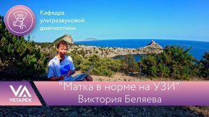 Кафедра УЗИ "Матка в норме на УЗИ"