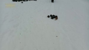 Воркута. 20.11.25.  Пуржисто.