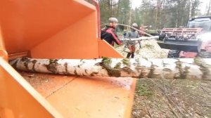 Измельчитель древесины TOMCAT 4250 AFE в действии.