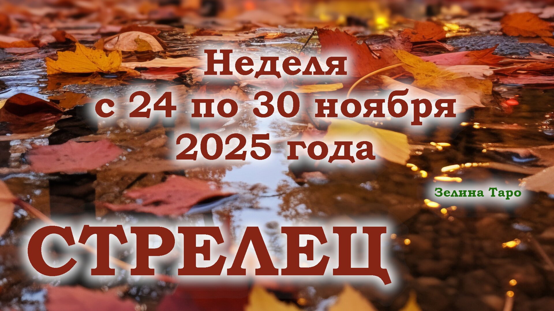 СТРЕЛЕЦ | ТАРО прогноз на неделю с 24 по 30 ноября 2025 года