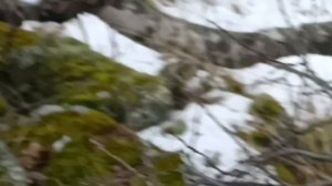 5. Смотровая площадка биатлонно-лыжного учебно-тренировочного комплекса «Курташ». 16 ноября 2025 год