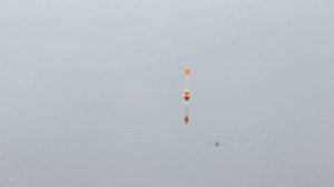 Чем заняться в Севиан Форест?