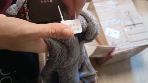 коробка сюрприз с вещами 1 часть