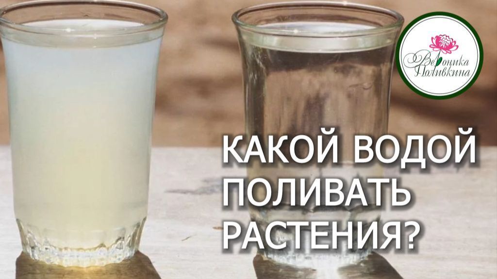 ПРАВИЛЬНАЯ ВОДА ДЛЯ ПОЛИВА РАСТЕНИЙ