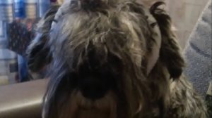 Уберите ненормального!..!😆