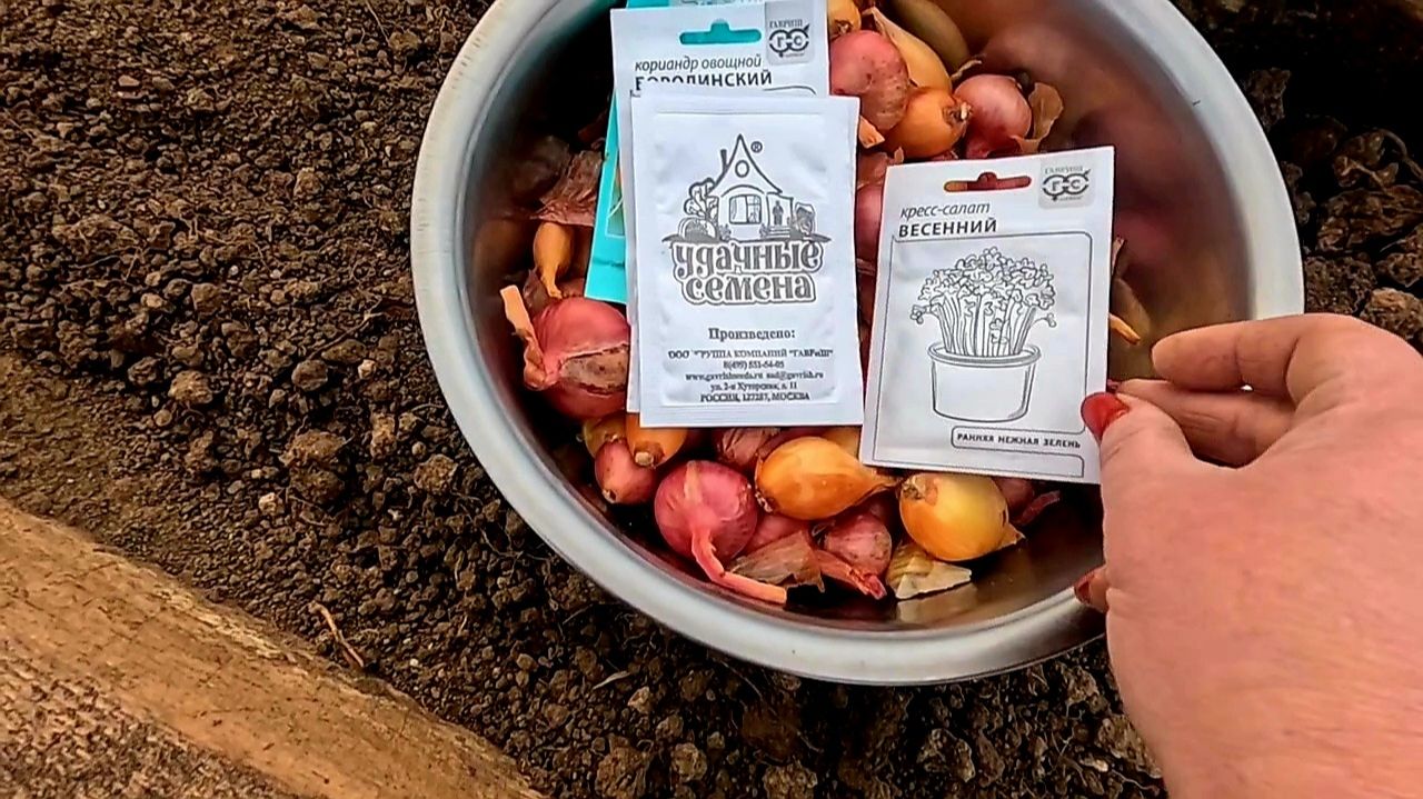 Посейте это в Ноябре в теплице и ранней весной будете с урожаем!!!