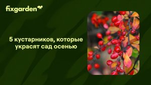 ✅ Ваш сад может быть ТАКИМ: Яркий, нарядный, восхищающий соседей!