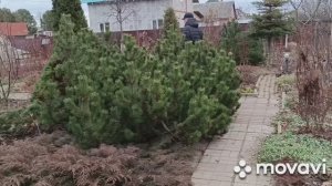 Уральская жизнь одного дня на усадьбе