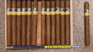 Россиянка привезла с Кубы три коробки сигар и попалась таможенникам