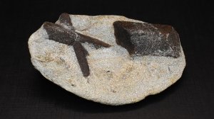 Ставролит в Слюде. Кольский полуостров