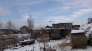 Ловля щеглов на западок.