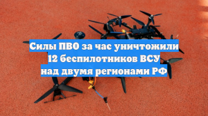 Силы ПВО за час уничтожили 12 беспилотников ВСУ над двумя регионами РФ