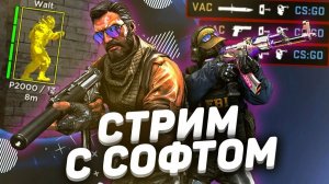 CS:GO С софтом skeet