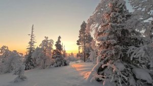 Прогулка по зимнему январскому лесу в горах