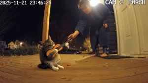 Когда в душе ты Виктор Цой, а снаружи просто Барсик.🤭