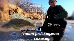 ЁРЖ тоже РЫБА. Рыбалка зимняя, без снега 🤪