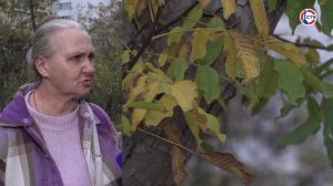 Юлия Латышева об устройстве пешеходных дорожек