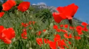 КОМЕДИЯ РОК   Моё Имя - Ветер!))