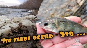 Попытка номер - Два !) Пытаемся закрыть летний сезон рыбалки !)