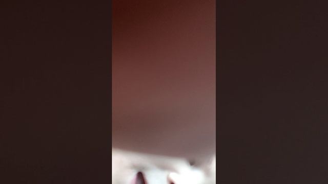 стрим Нет я не человек в роблокс! смотреть онлайн