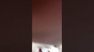 стрим Нет я не человек в роблокс!